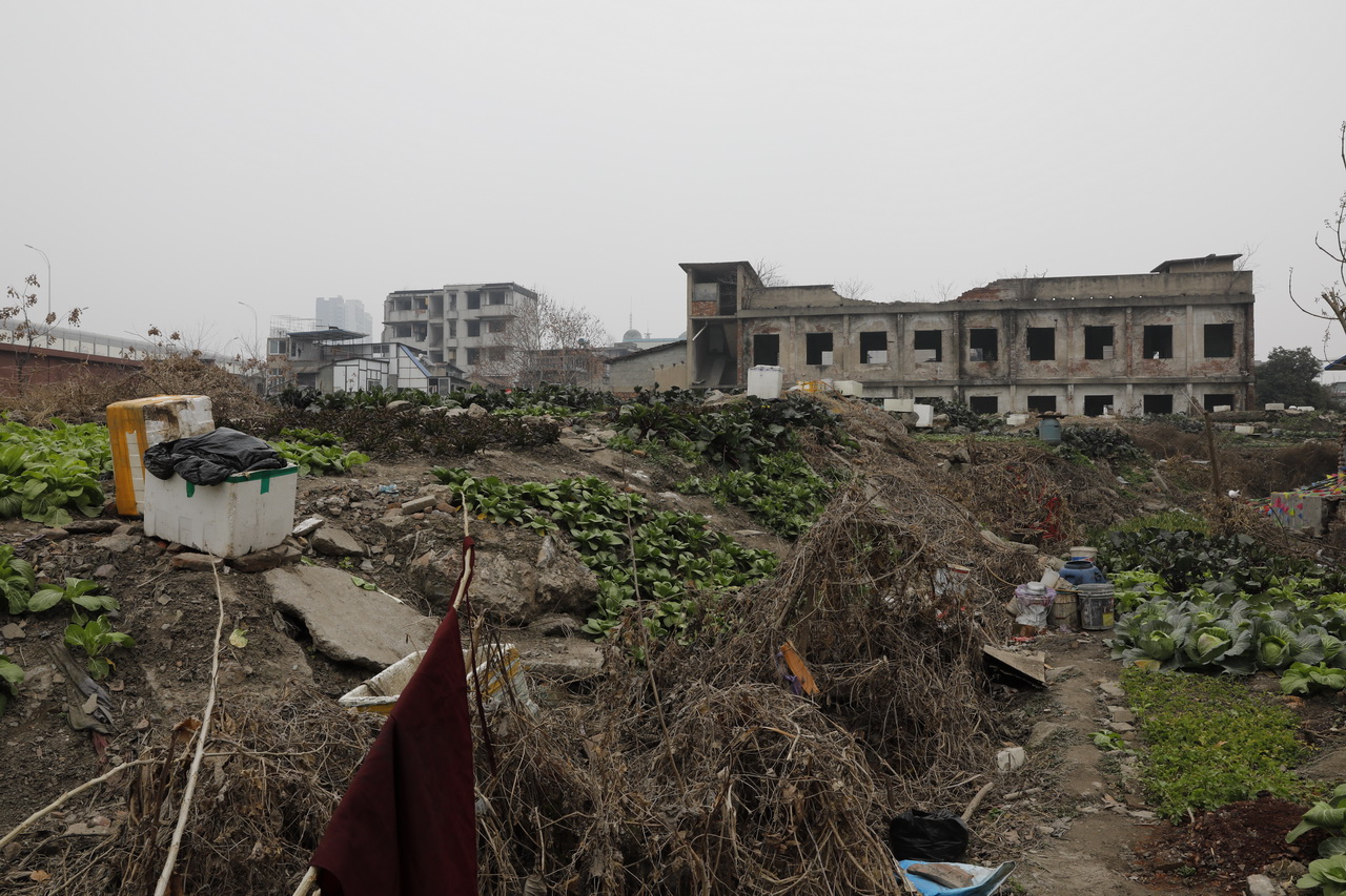 武汉市第二针织厂,大武汉1911完整版