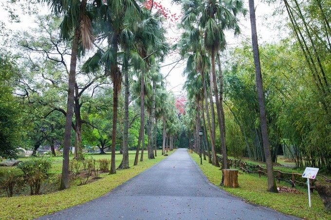 中国出国旅游英语,国内出国旅游英语