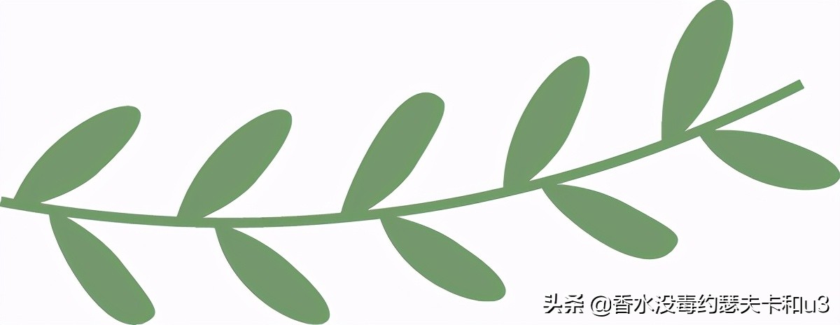 夏日小*香众**水推荐，清爽不易撞向