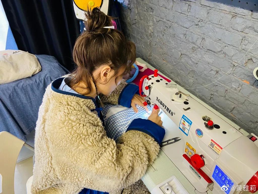 城市版的李子柒,李子柒真实的豪宅变化