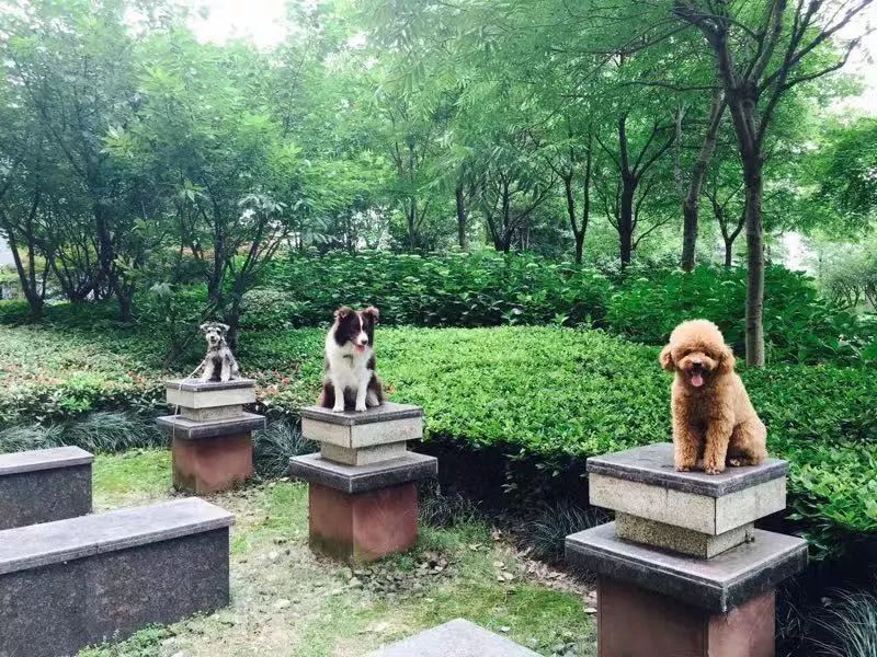 李妍现在怎么样了,李妍是一个怎么样的人