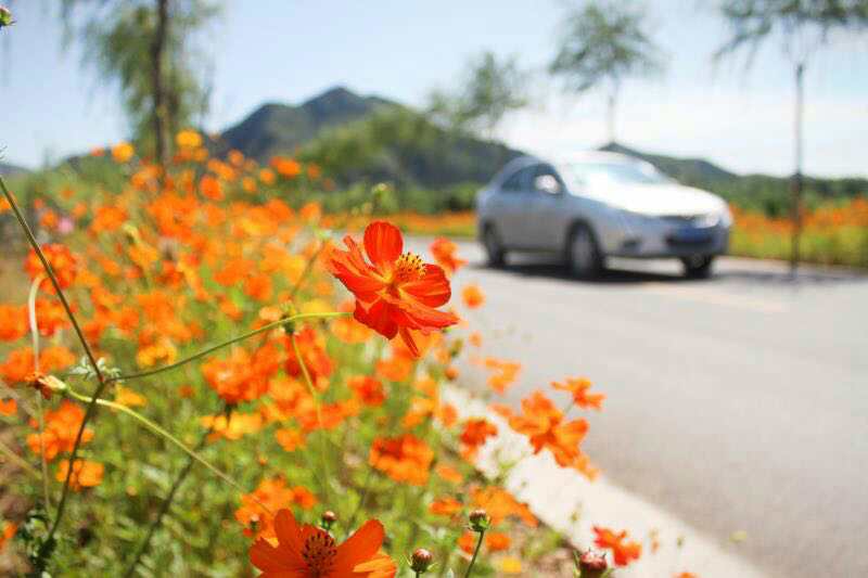 检查tct出血有事吗,tcthpv取样出血