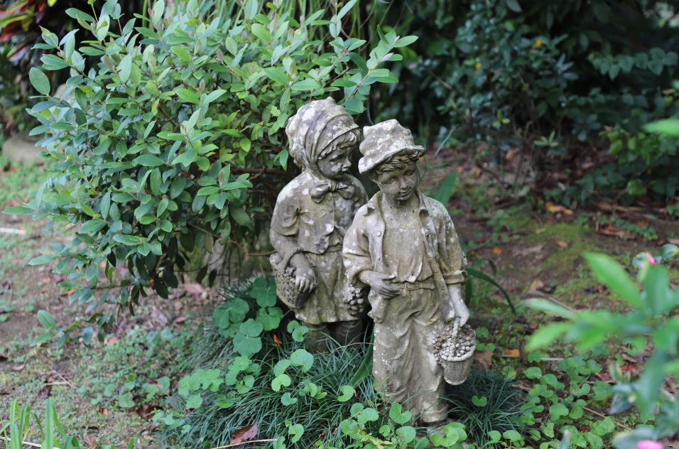 真正的台湾茶,最火的台湾茶