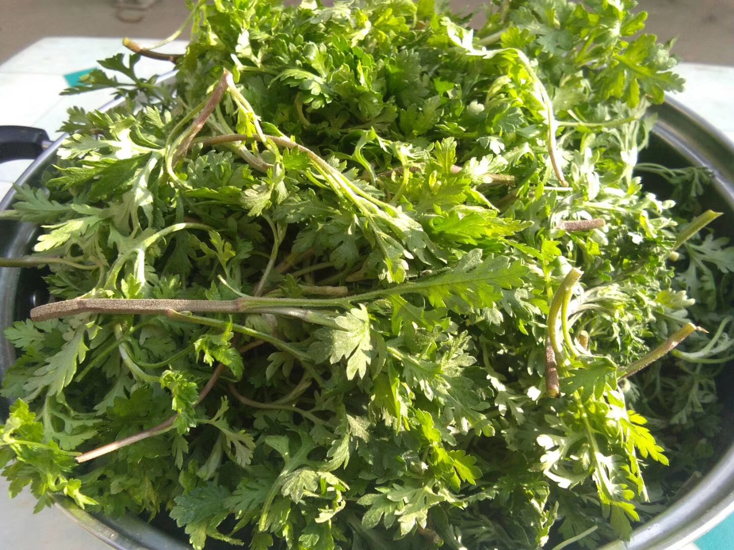 降血压的蔬菜和水果和野菜有哪些,农村这种野菜竟是散结的救命菜