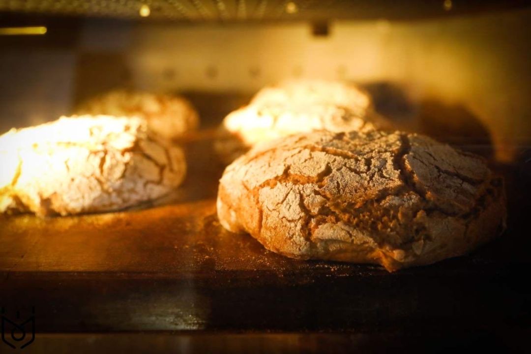 法式日式德式面包,德式面包正宗做法