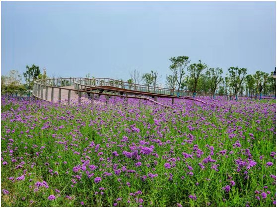 武汉市硚口区汉江湾高清图,硚口区城投汉江湾工程最新消息