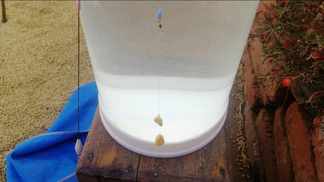 新手野钓最简单调漂方法一学就会,新手野钓怎么调漂最准确又快