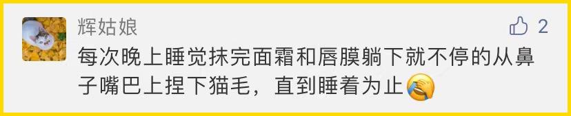 合租养猫劝退指南,《养猫劝退指南》