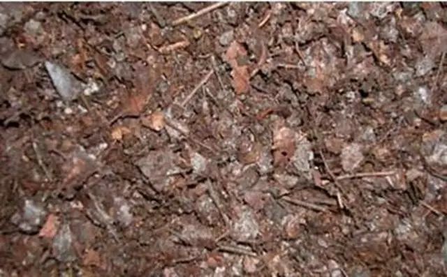 养花种植技术大全及配土,家庭养花如何使用绿沸石配土