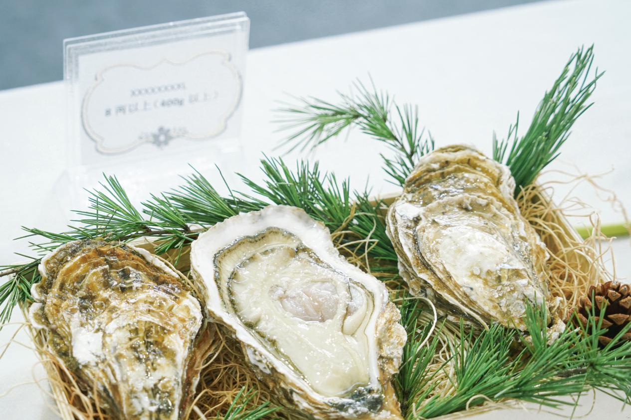 喜讯公司多个文化品牌作品获奖,喜讯光荣榜