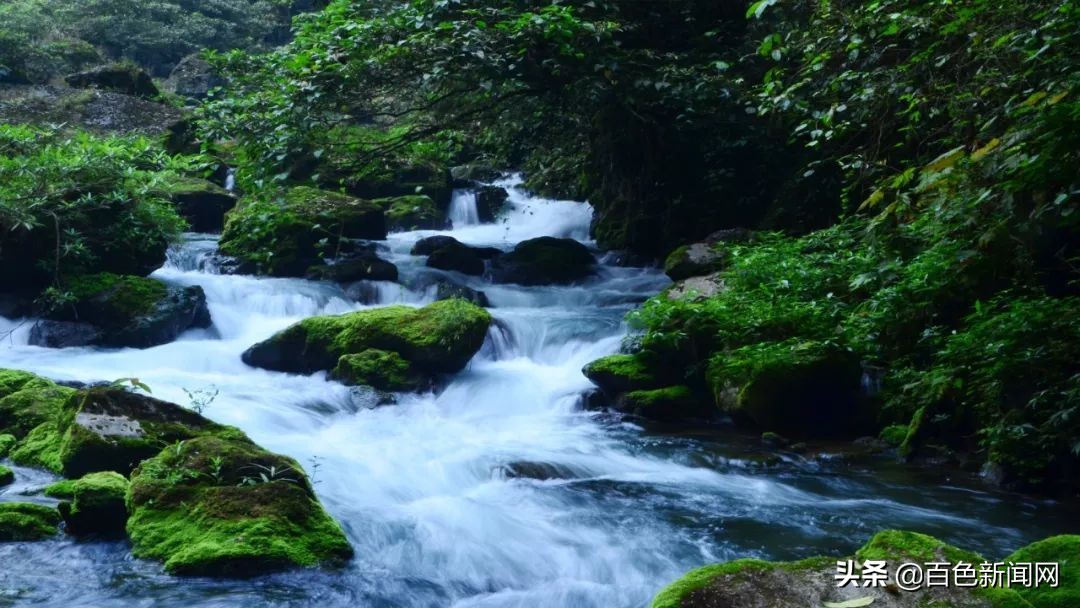 百色夏天避暑的地方,百色适合夏天去玩的地方