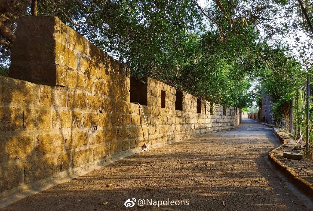 中国火山岛旅游景区,火山岛自然生态旅游景点