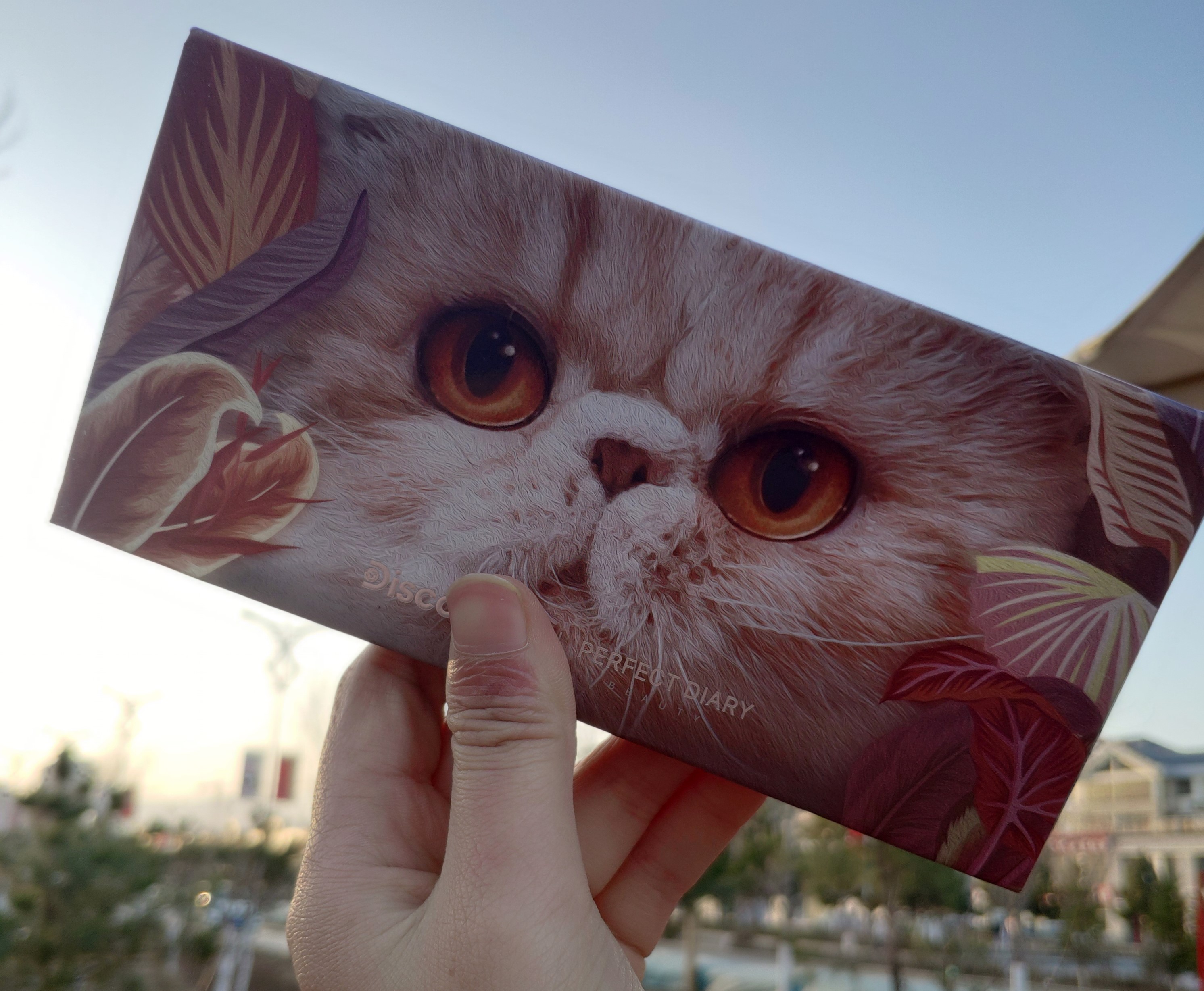 卡姿兰唇釉和完美日记唇釉哪个好,卡姿兰和完美日记哪个好一点