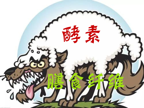 想靠酵素产品来“光吃不胖”？你除了花钱上当外，什么都不会有