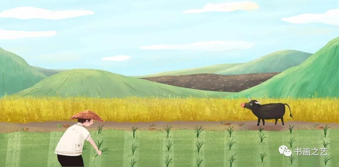 有芒的麦子和无芒的麦子,有芒刺的稻子