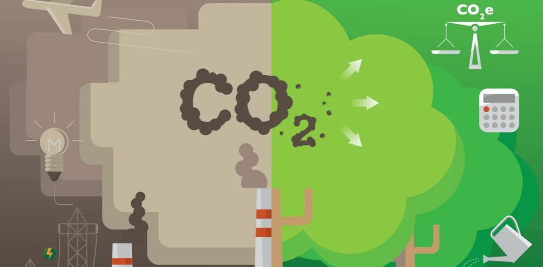 国内合成生物学“泰斗级”学者创办公司，天使轮获红杉种子领投