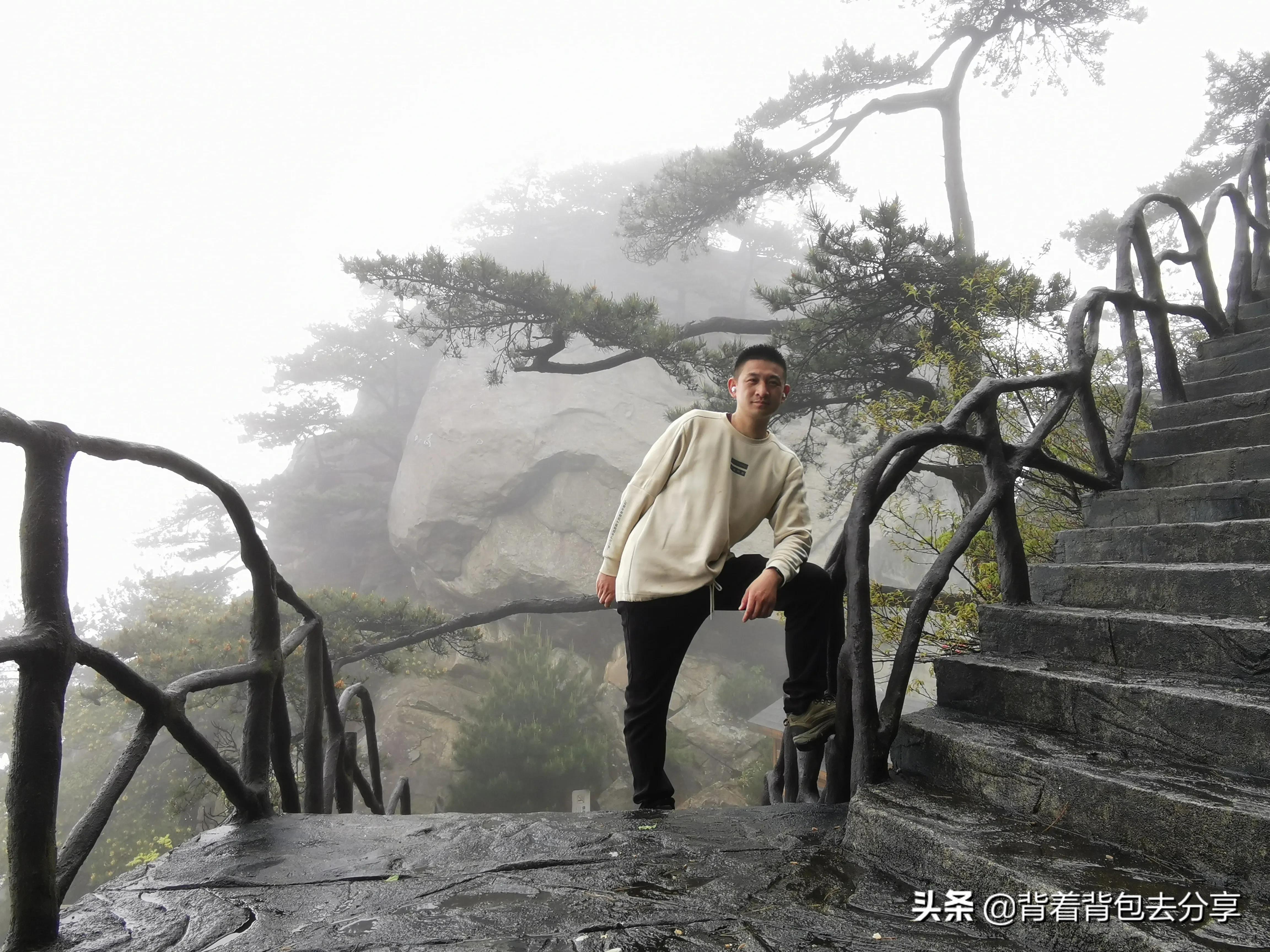 麻城龟峰山古杜鹃,面积最大的杜鹃花景区