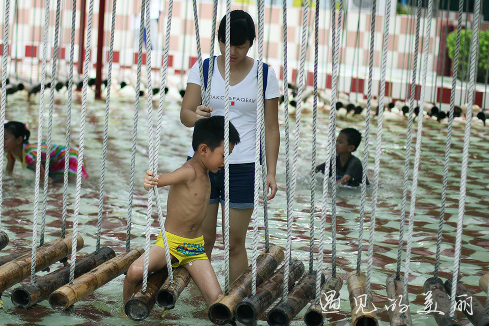 百万葵园有多坑,百万葵园免门票