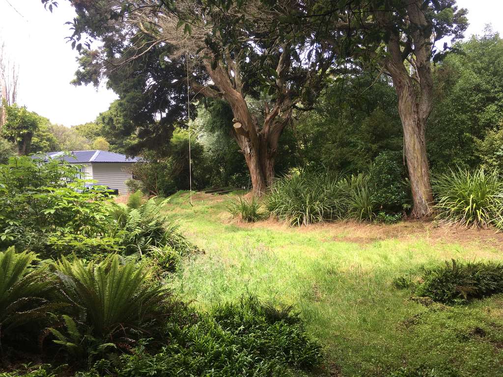 100万人民币在新西兰,100万在新西兰能买到什么车