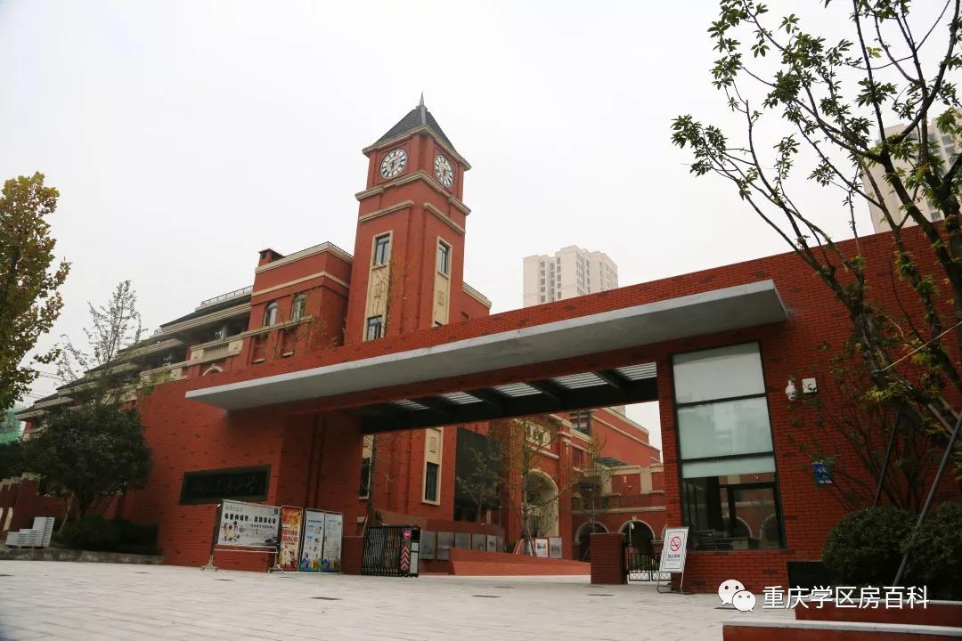 树人小学到底有多少分校,重庆市树人小学有几个分校
