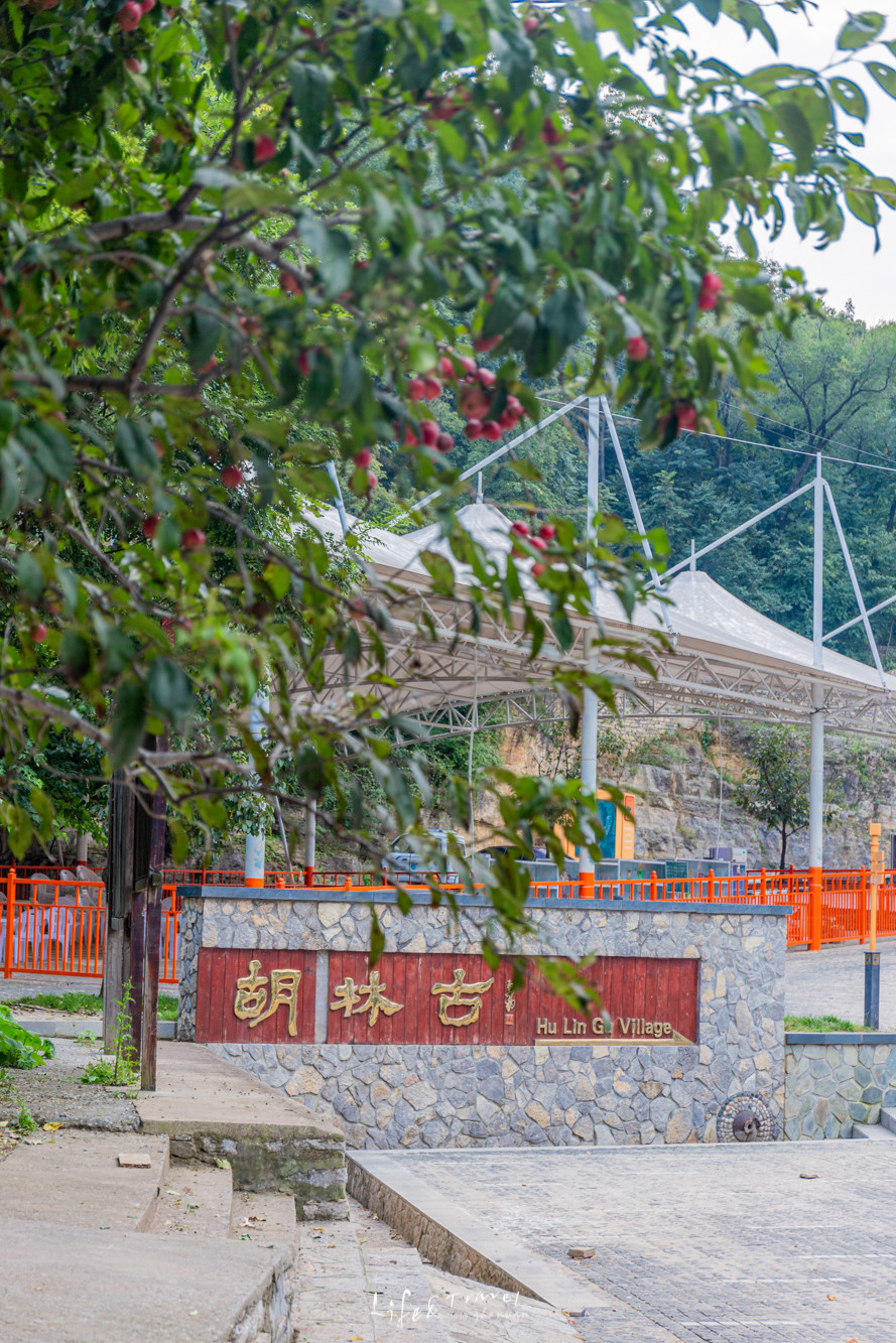 山东青州旅游攻略大全,山东青州旅游攻略夏天景点