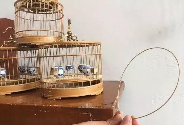 如何挑选鸟笼盖板和钩子,如何挑选金丝雀鸟笼