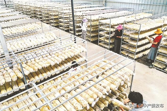 成城决战脱贫攻坚,举全镇之力打赢脱贫攻坚战