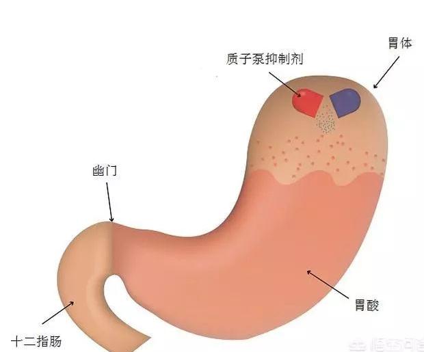 长期服用奥美拉唑对胃有影响吗,长期吃奥美拉唑有影响吗