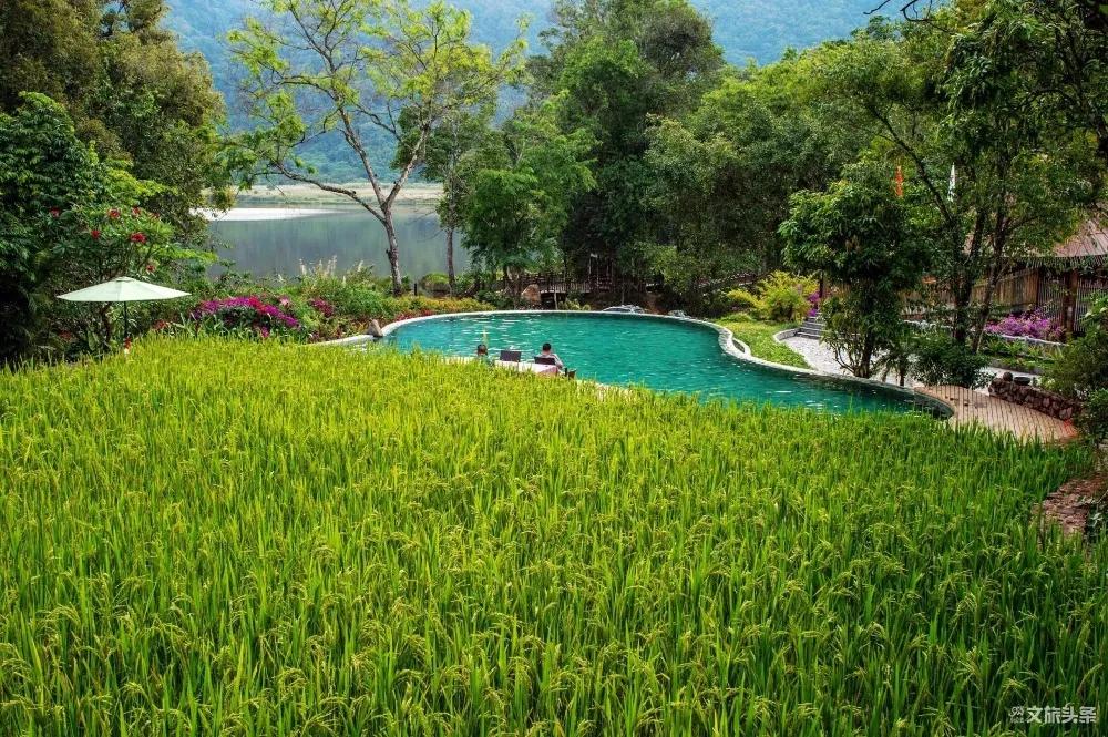 云南普洱旅游自由行攻略,云南普洱高端旅游攻略