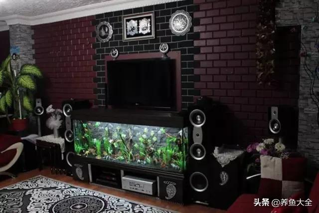 养鱼的鱼缸家里没有怎么办,养鱼没地方放鱼缸
