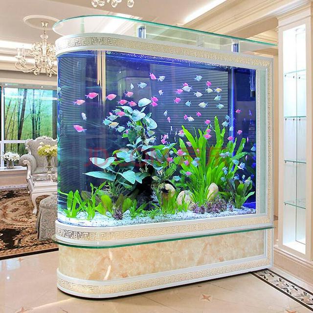 观赏鱼初入鱼缸注意事项,鱼缸养观赏鱼技巧