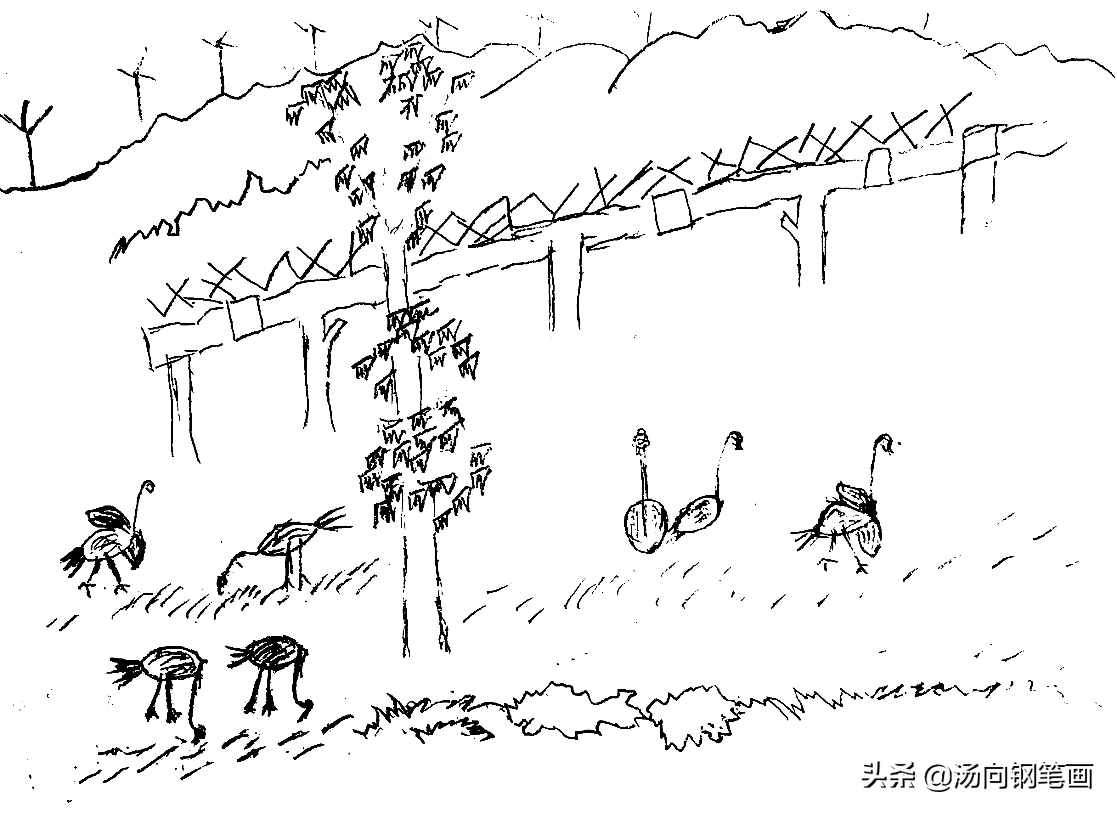 零基础学钢笔速写,零基础学钢笔书法