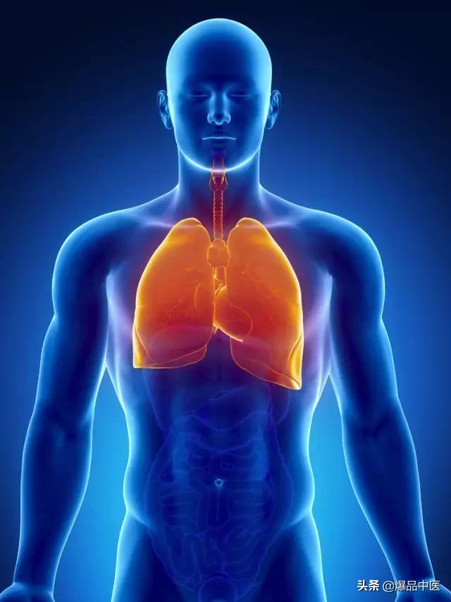 全息望诊大全视频,浅议生物全息律与中医望诊