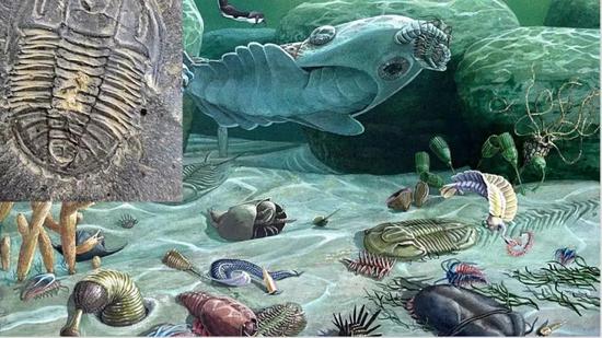 谷歌大神总结微服务,谷歌废弃微服务