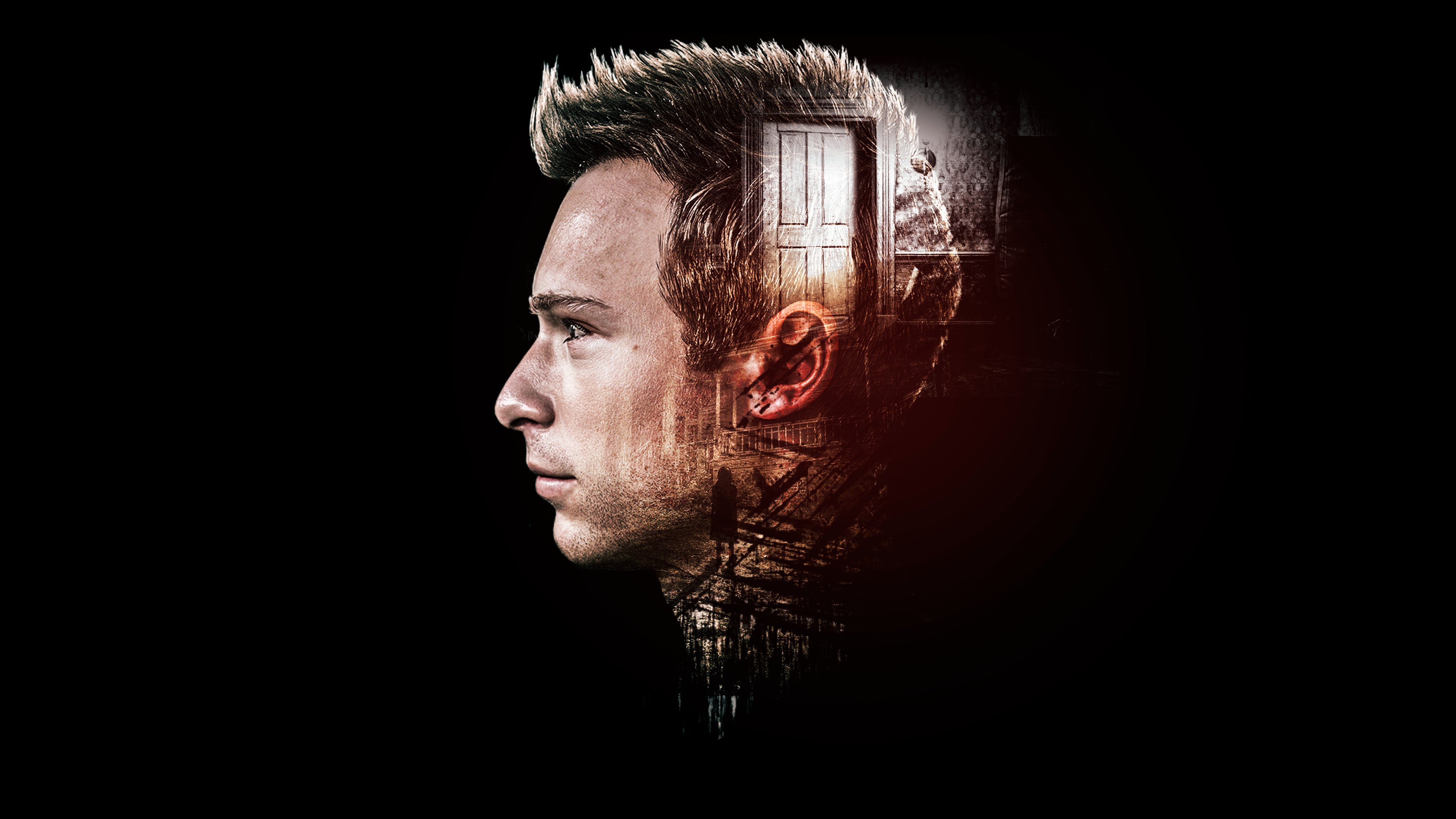 4k动物正脸壁纸高清版霸气,苹果12壁纸超清4k全屏动物