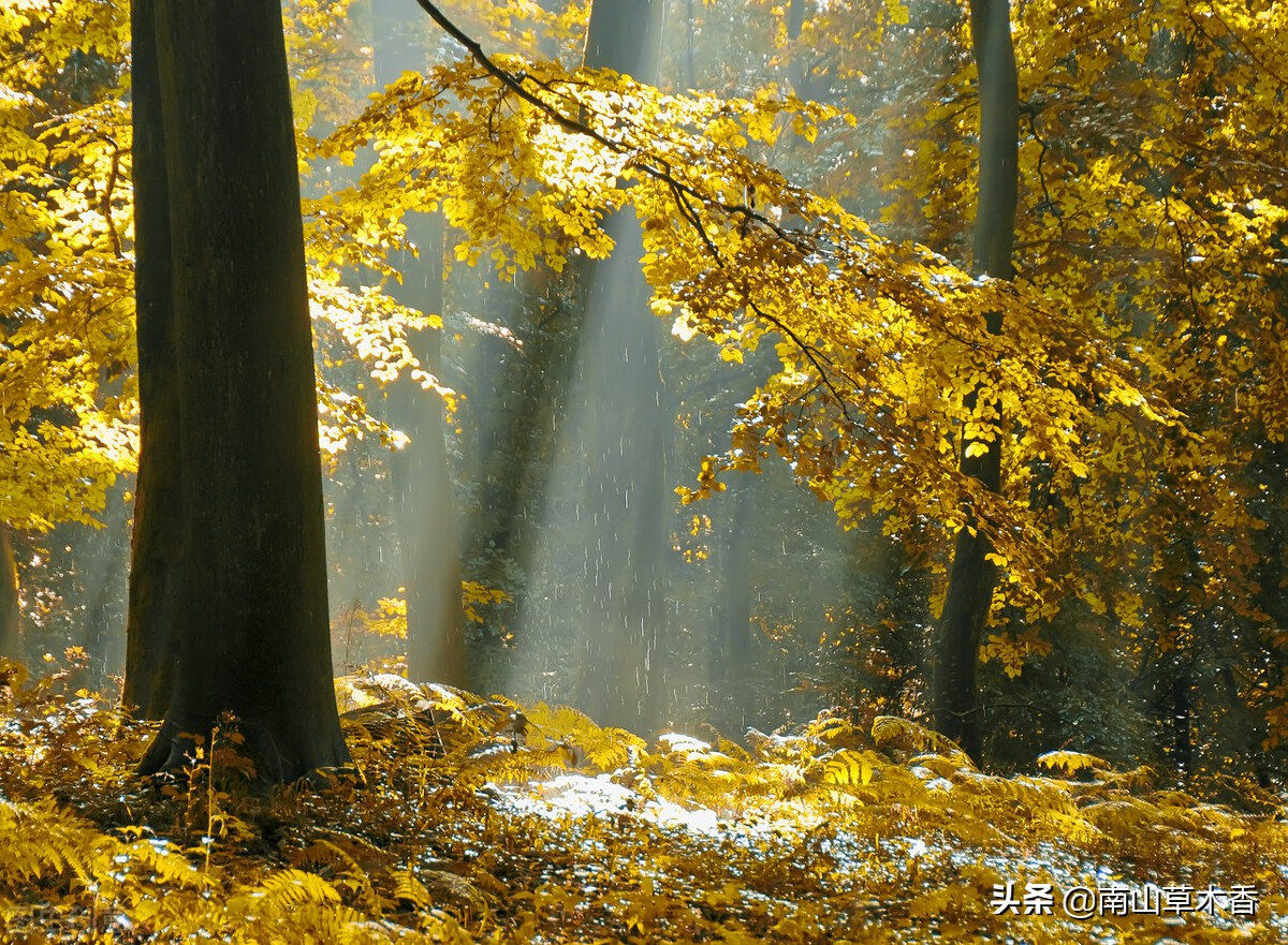散文秋天优美语段,散文秋天