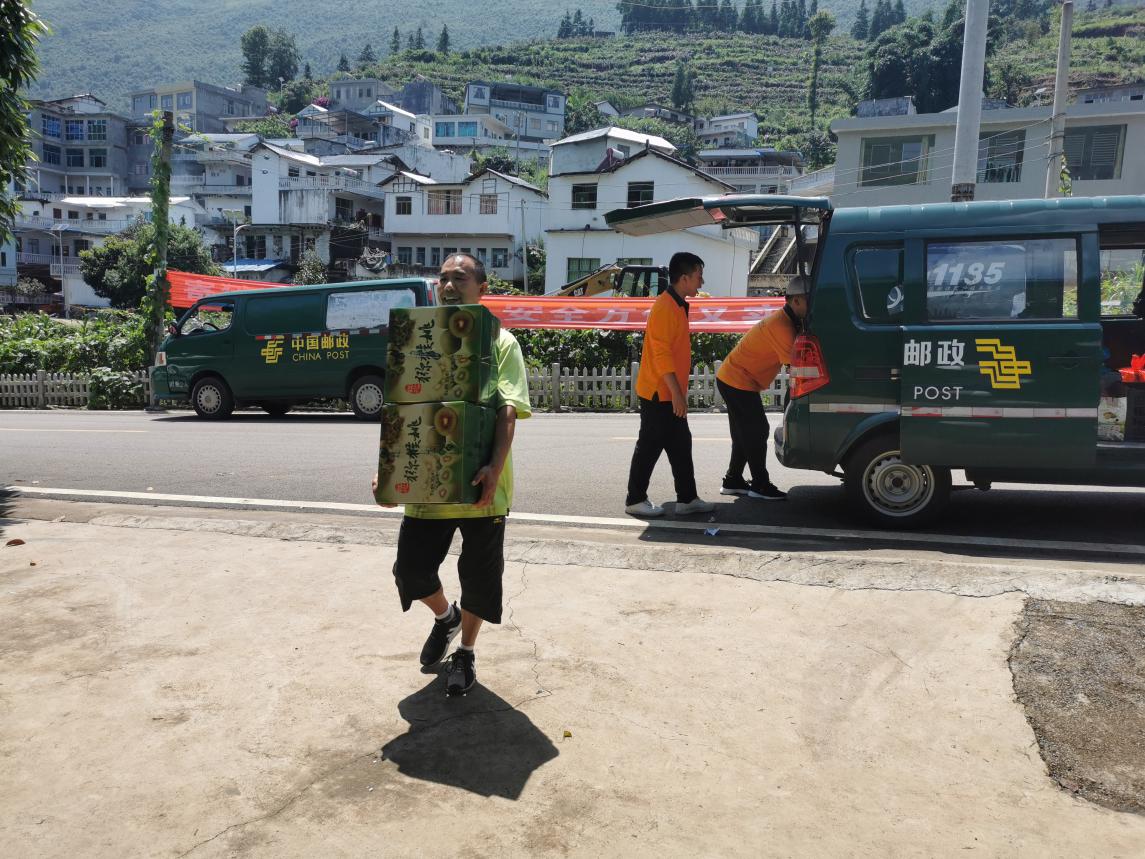 红心猕猴桃要浸果几次,红心猕猴桃浸果的最佳温度