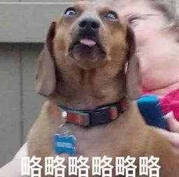 如果孩子有这5种行为请不要着急,孩子出现同性问题如何正确引导