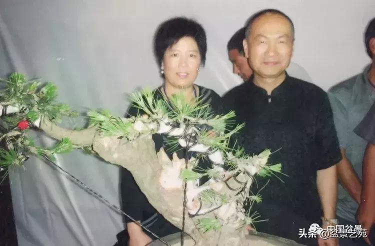 山东盆景艺术大师王桂华,金艳盆景精品欣赏