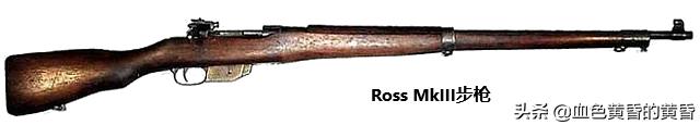 加拿大民用步枪是半自动吗,加拿大步枪中国步枪