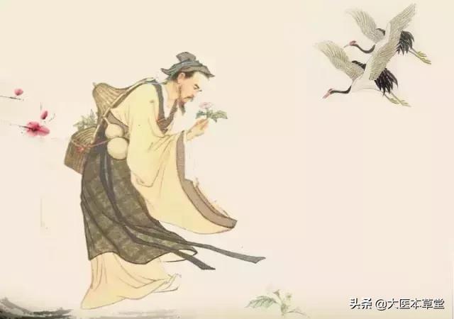 李时珍神奇的单味艾叶方，值得收藏学习！