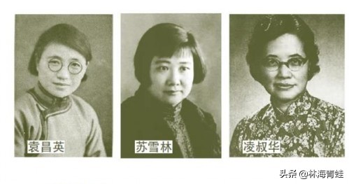 袁昌英的资料,袁昌英简介