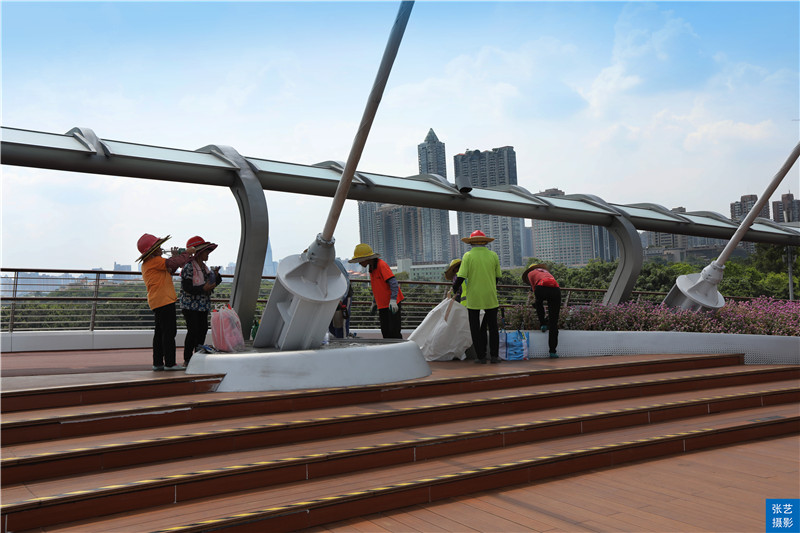 广州人行景观桥最新情况,广州海心沙人行天桥