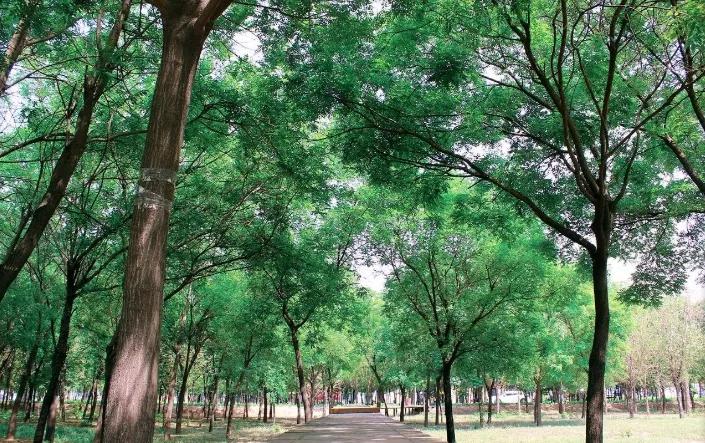 想见你西南政法大学,去河北政法职业学院