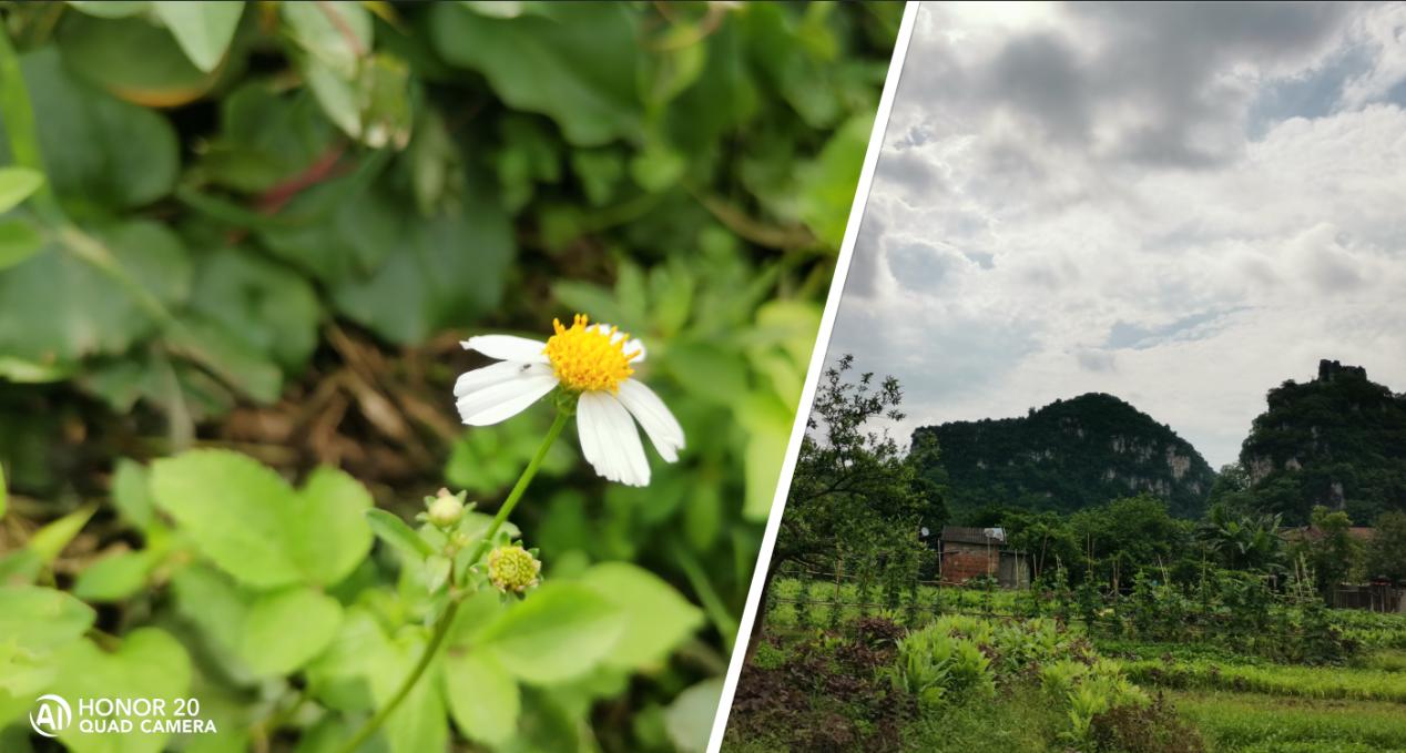 华为荣耀20测评,华为手机荣耀20评测