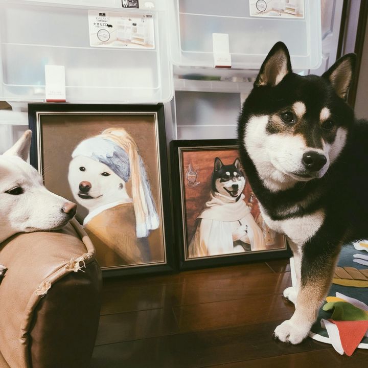 测试情侣默契度的问题 (怎么测试情侣之间有没有情侣值)