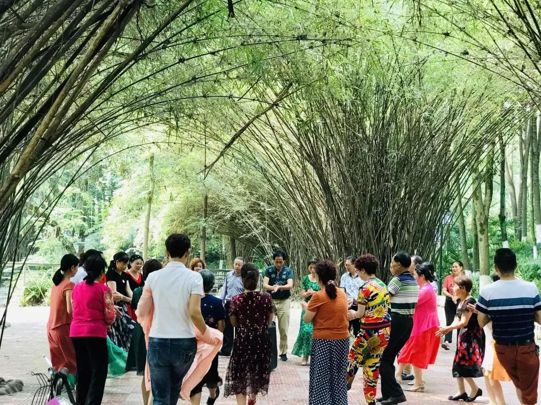 每个郫筒二小毕业的，都是在石牛公园耍大的