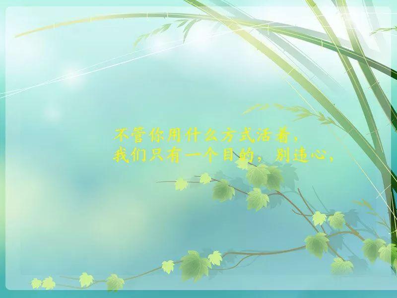 适合发朋友圈的人生感悟句句走心,适合发朋友圈感悟人生的心情语句