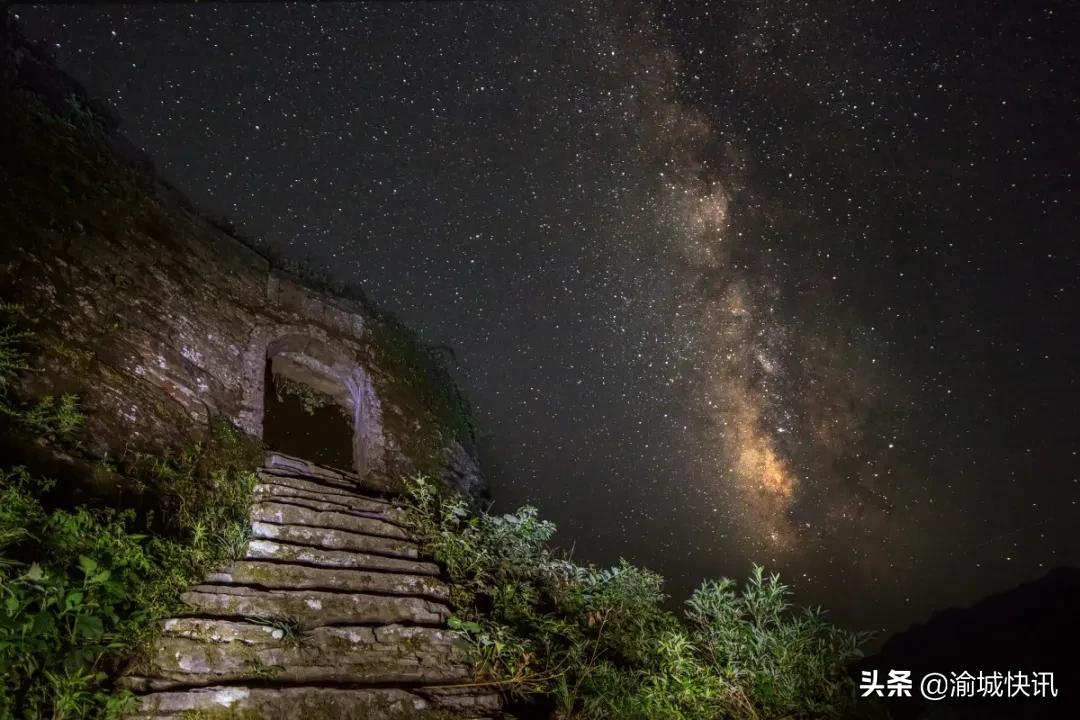 重庆无症状感染者最新情况,重庆无症状感染者在哪个区