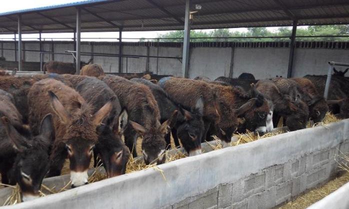 2018年最赚钱的门路,适合农村的21个赚钱门路